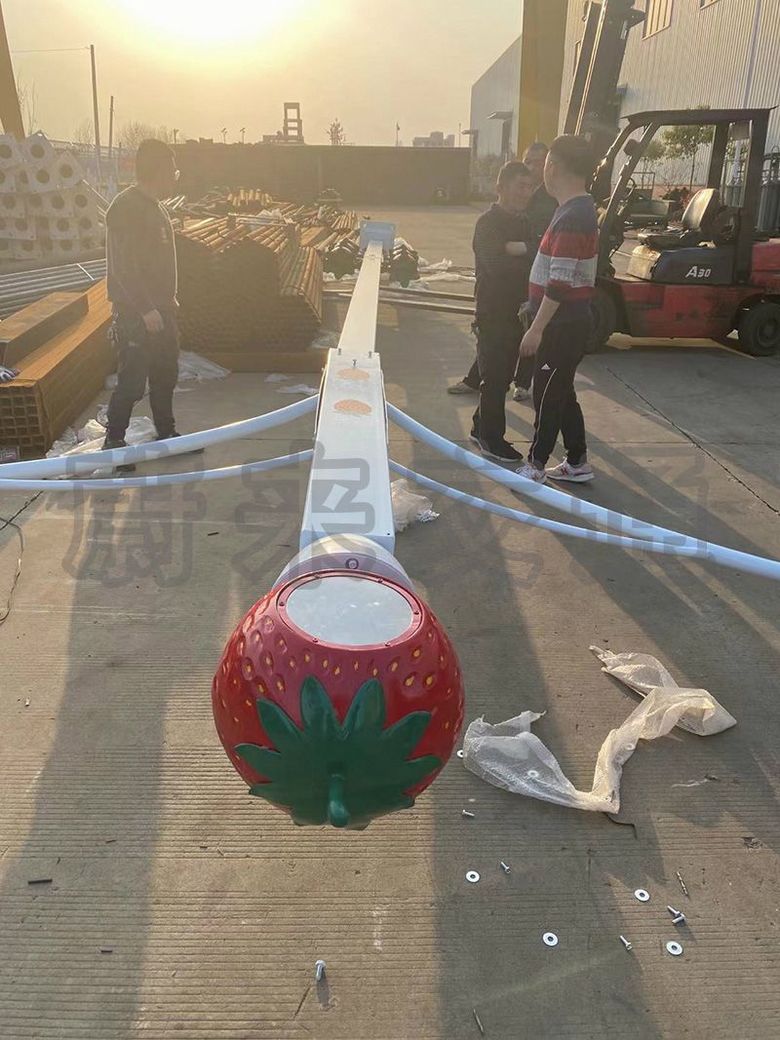 合肥長豐縣草莓小鎮路燈項目